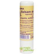 Balsam de buze cu propolis 5 ML – Favisan